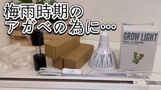 【ネットアガベ】室内管理の設備をちょっぴりグレードアップ