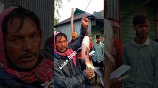 রুই মাছটা ১২৫০ টাকা #fishing #onefishtwofishredfishbluefish #streetfood #fishcuting