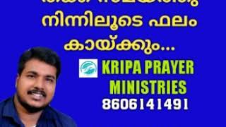 തക്ക സമയത്തു നിന്നിലൂടെ ഫലം കായ്ക്കും...  Malayalam Christian Message By Pastor Pratheesh Thampi