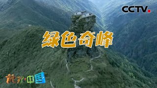 处于武陵山脉深处的梵净山为何会成为非常独特的地理单元？奇山异水间的生物种群有着哪些特点？名山胜景·绿色奇峰 20210325 |《地理·中国》CCTV科教