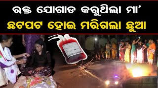 ରକ୍ତ ଯୋଗାଡ କରୁଥିଲା ମା'  ଛଟପଟ ହୋଇ ମରିଗଲା ଛୁଆ   | Odisha Reporter