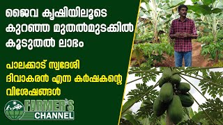 ജൈവകൃഷിയിലൂടെ കുറഞ്ഞ മുതൽമുടക്കിൽ കൂടുതൽ ലാഭം