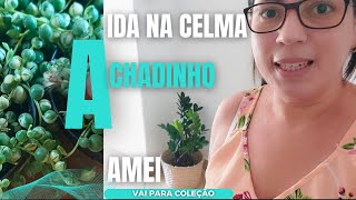 FUI NA CELMA DAS FLORES PARA VER O QUE CHEGOU TEVE ACHADINHO...