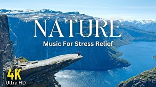 Reiki Music, Energy Healing, Nature Sounds, Zen Meditation, Positive Energy, Healing Music ,Nature