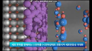 2-46.  포인트 UV 임플란트 (부산 광안리 뉴욕치과)