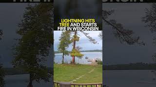 Dramatic video shows lightning strike exploding tree in Wisconsin