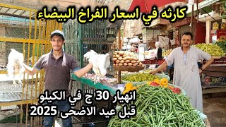كارثة ولا فرصة 🤯 اسعار الفراخ تنهار في مصر قبل عيد الاضحى 2025 ومفاجاة اسعار اللحوم المصنعه