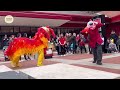 year of the snake. northern chinese lion dance 2025 at the british library.農曆新年舞獅. 恭喜發財