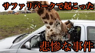 【閲覧注意】サファリパークで起きた悲惨な事故6選【トラウマ注意】