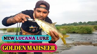 Mahaseer Fishing Videos// New Lucana capri small lure 👍 good catch.