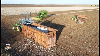 Cotton Harvest 2021 near Snyder Oklahoma