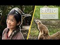 Cambridge University Graduate Turned Zookeeper: Sarah Chin | ZULA Features | EP 20