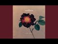 Auditory Euphoria