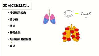 国家試験対策　呼吸器④　完全版