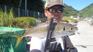 愛媛県・日振島 アジング