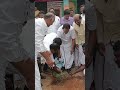 uthiramerur mla k.sundar planting tree