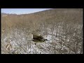 Backyard Wilderness Behind the Scenes - Flying with a Bluejay