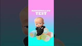 A Test for Success! (Marshmallow Test) 2021