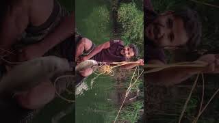 വള്ളി ചൂണ്ടയിലെ കുറുവ പിടുത്തം #fishing #snake #keralabackwaters #comedy #shortsyoutube