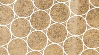 Why do honeybees love hexagons Zack Patterson and Andy Peterson