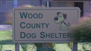 Wood County to conduct door-to-door dog license enforcement checks