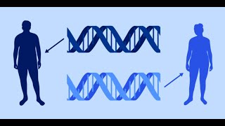 How genetic mutations can increase cancer risk