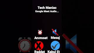 Google Meet iOS Call