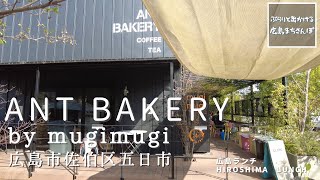 【広島ランチ】　ANT BAKERY by mugimugi　　広島県広島市佐伯区五日市　　   Lunch in Hiroshima, Japan　　広島のおしゃれで美味しい　おすすめのお店紹介