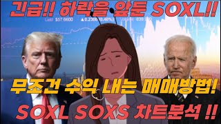 [고버니의 주식방송] 긴급!! 하락을 앞둔 SOXL, SOXS 매수 매도타점! 무조건 수익을 낼 수 있는 방법!! 엘리어트 파동! 추세매매 기본!!