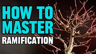 Ramification Explained (And Why It Matters)