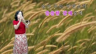 #숨어우는바람소리#김정희트럼펫cover