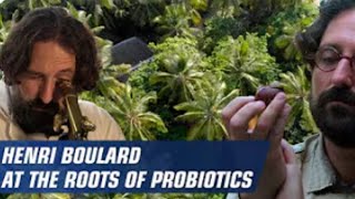 Henri Boulard at the roots of probiotics I Biocodex