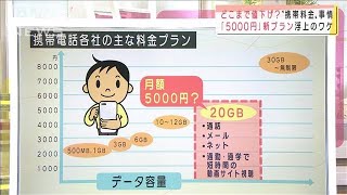 “携帯料金”どこまで値下げ？「5000円」新プランも(2020年10月8日)