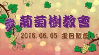 2016.06.05-葡萄樹教會主日聚會-信息