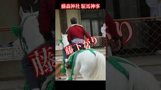 [京都]藤森神社の駈馬神事_馬上で技を披露する1200年の伝統神事2023/5/5