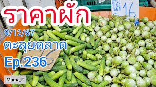 #ราคาผัก ตลาดบางกะปิ ช่วงเช้า 9/12/67 #ตะลุยตลาด Ep.236