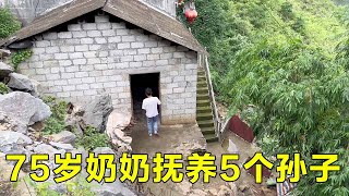 儿子去世儿媳改嫁，75岁奶奶独居深山养育5个孙子，卖了母猪给孙子上学！【山农乐高】