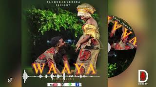 Belami Muka - Waaya (Official Music Audio)