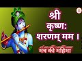 Shree Krishna Sharanam Mama | श्रीकृष्ण: शरणम् मम । Glory of Shree Krishna Mantra। Ashtakshar Mantra