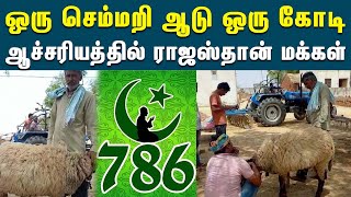 பேசும் பொருளான, 1 கோடிக்கு விலைபோன செம்மறி ஆடு | Rs 1 Crore Offer For Lamb | Viral | Bakrid