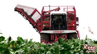 2019 | Sugar beet harvest | Vervaet 625 | Antuma Dedemsvaart | New Holland | NL