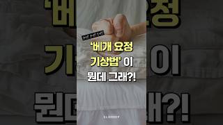 아침에 일찍 일어나는 방법? 베개 요정 기상법이 뭔데 그래!? 아침 기상! 이런 꿀팁이? #아침 #잠 #기상 #미라클모닝