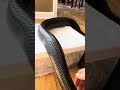 eastern indigo snake drymarchon couperi tries to escape in my living room