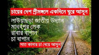 Moulvibazar । Lawachara national park and Madhabpur Lake । Travel Guide । By অপরূপ বাংলাদেশ ।