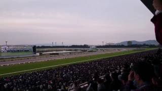 4K 2016 第41回 エリザベス女王杯(ＧⅠ) 現地 クイーンズリング Queen Elizabeth II Cup Kyoto Racecourse JAPAN