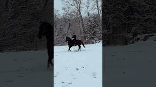 We got some snow finally! Jackson was being such a good boy💞