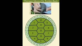 Turtle Shell Calendar has 13 Months or Moons