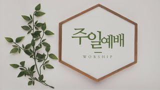 8월 14일 주일예배 2부