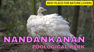 Exploring Bhubaneswar's Best Zoological Park: A Wildlife Wonderland