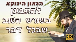 הגאון הינוקא - להתבונן בשורש הטוב שבכל דבר | מרגש! 4K | The Yanuka - English subs